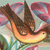 Nineteenth-Century Pharmacists&rsquo; Trade Cards from the William H. Helfand Collection