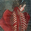 Picturing Women