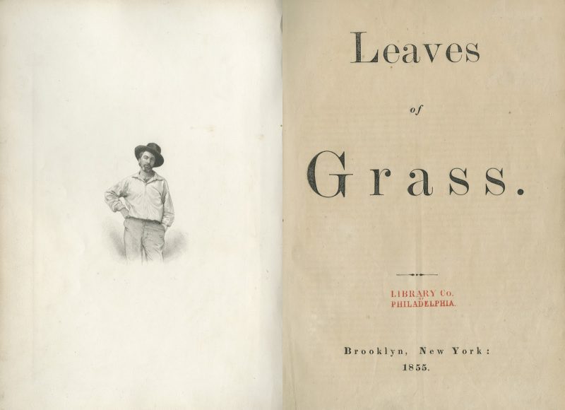 Frontispiece of Walt Whitman in Leaves of Grass.