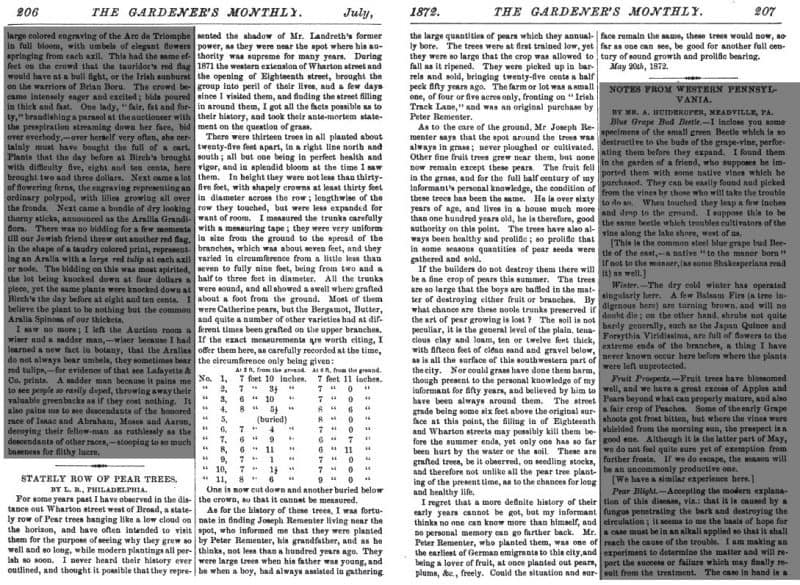 July 1872 issue of Gardener’s Monthly and Horticultural Advertiser. Text too small to read.