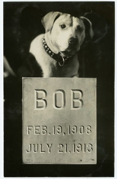 William Rau. Memorial for Bob, gelatin silver photograph advertising card, ca. 1913.