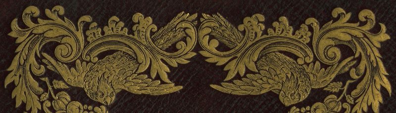 Detail of gilt birds and scrolling from book cover.