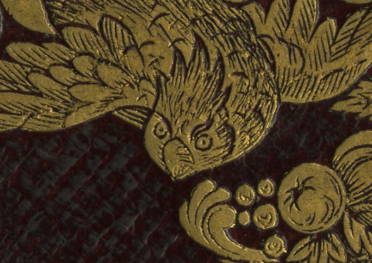 Detail of gilt bird from the book cover. The bird has an intense face.