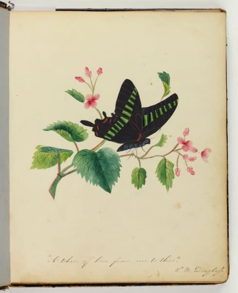 Sarah Mapps Douglass, "A token of love from me, to thee," ca. 1833.  Watercolor and gouache.