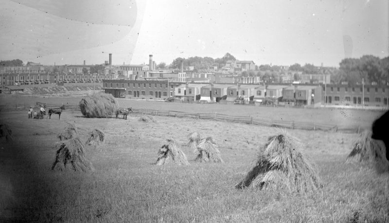 Fig. 2. John H. Webster, Jr., [Men harvesting hay on the Stouton farm, with row homes in the distance, Philadelphia, Pa.], ca. 1890. Glass plate negative.