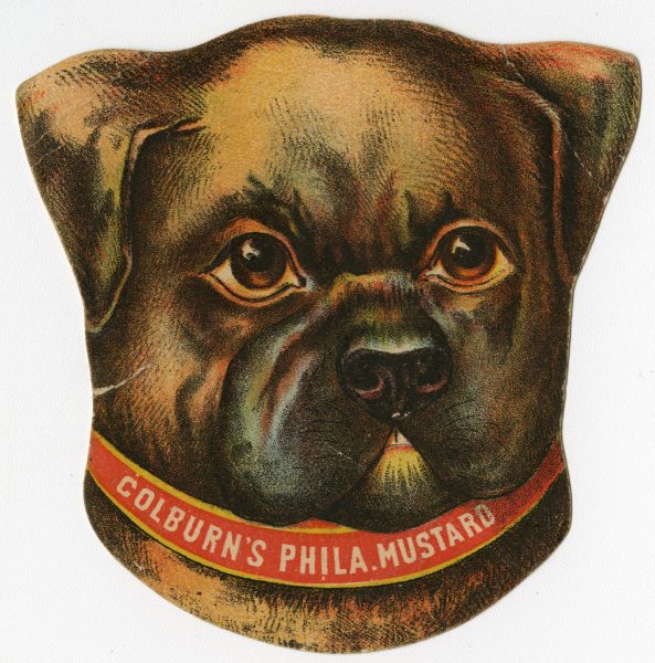 Advertisement for Colburn’s Philadelphia Mustard depicting a dog's face.