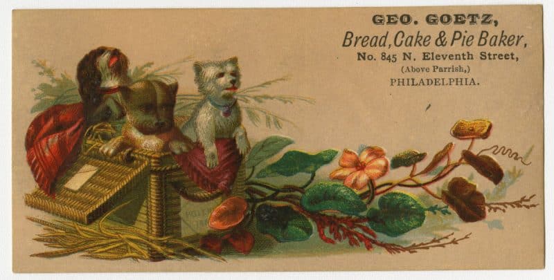 Trade card depicting a basket holding a puppy and kitten. Flowers surround the basket.
