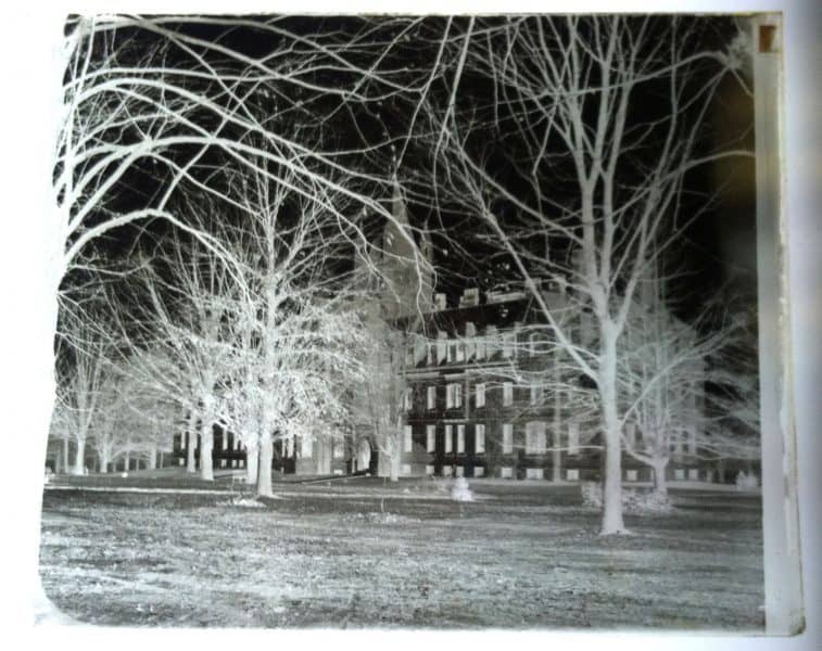 Morris Collection. Negative image showing trees and a building.