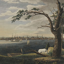 White horse grazes under mostly leafless tree in foreground. Cityscape visible in background beyond water filled with sailing ships. 
