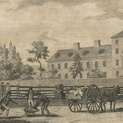 Two large buildings stand behind fence. In foreground three men gather around pig in the road next to horse-drawn wagon carrying other pigs