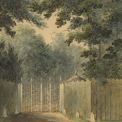 Wooden fence and gate enclose green-leaved trees