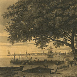 Men work at various tasks at water's edge under large leafy tree. Ships are both sailing and docked. Cityscape visible in background