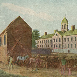 Men guide many horses pulling a small structure on wheeled cart along street running in front of large building