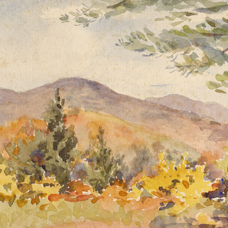 Watercolor showing a mountain range, trees, and fall foliage.