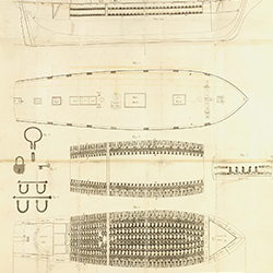 A diagram of Vigilante, a ship employed in the slave-trade