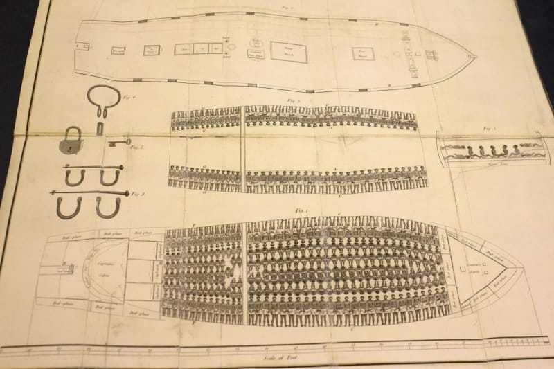 Slave Ship Diagram from the Library Company Collections