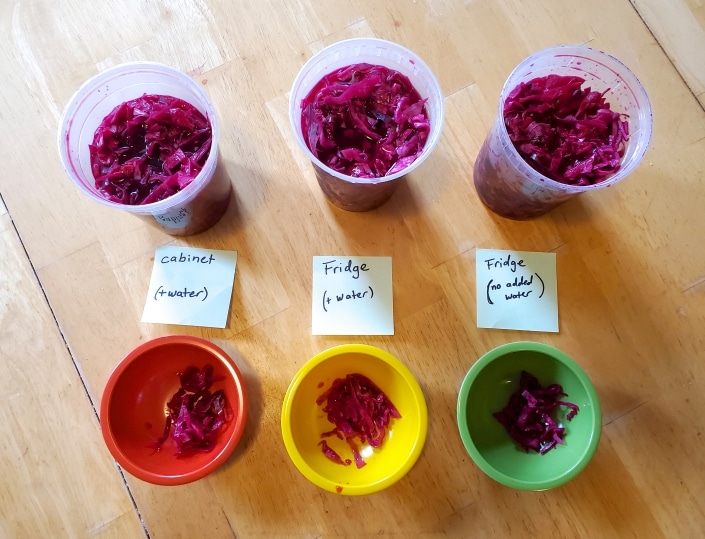 Three containers of pickled cabbage left in different environments, the results of a pickling experiment Three containers of pickled cabbage left in different environments, the results of a pickling experiment