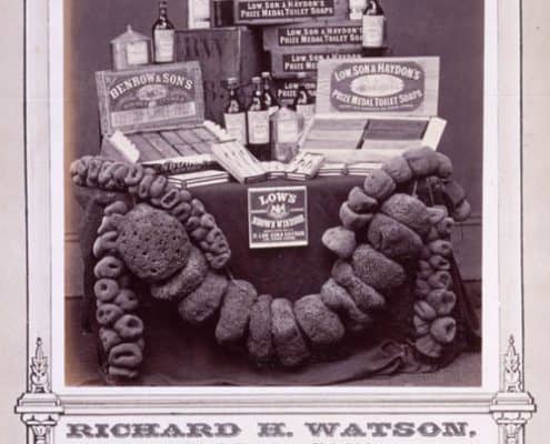 Photograph advertisement of different sized sponges arranged in a garland decorating a table filled with boxes and bottles.