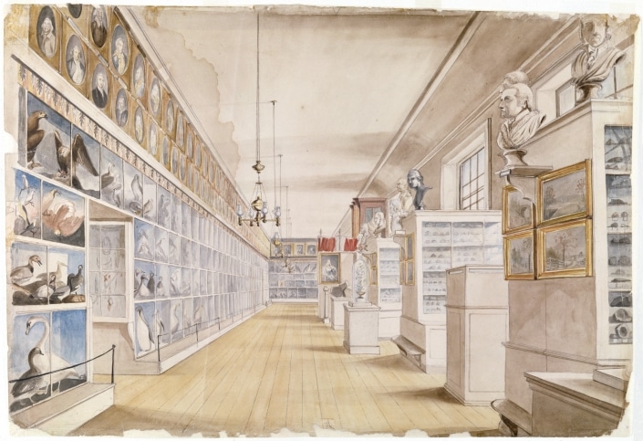 Charles Willson Peale and Titian Ramsay Peale, View of Peale’s Museum in the Long Room, Second Floor of the State House (Independence Hall), 1822, Detroit Institute of Arts, Founders Society Purchase, Director’s Discretionary Fund Charles Willson Peale and Titian Ramsay Peale, View of Peale’s Museum in the Long Room, Second Floor of the State House (Independence Hall), 1822, Detroit Institute of Arts, Founders Society Purchase, Director’s Discretionary Fund