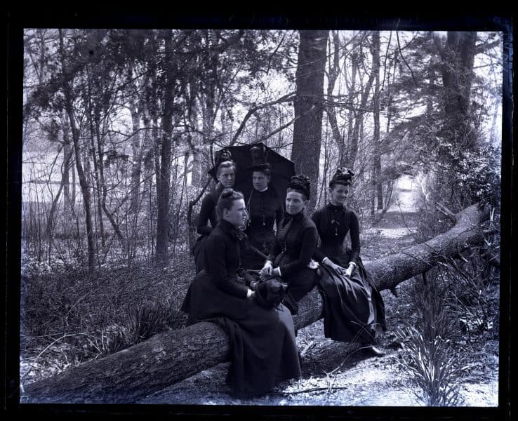 Group on fallen tree. Bartram's Garden. Mrs Shoemaker, Bird & Minnie Tyson Shoemaker, Minnie Kimber & Bess [graphic].