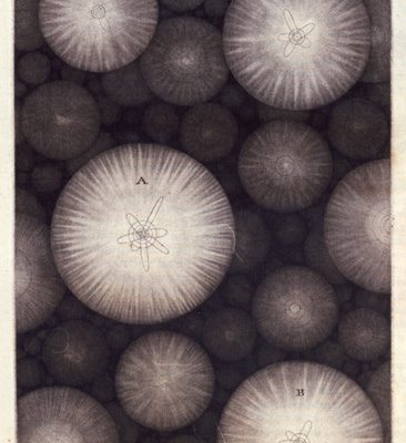 Cluster of spheres in varying sizes and with rays of light inside.