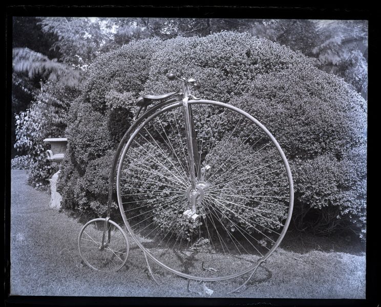 My bicycle, side view in front of box bush, (Miss Annes) [graphic].