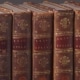 Photograph of spines of bound Shakespeare works