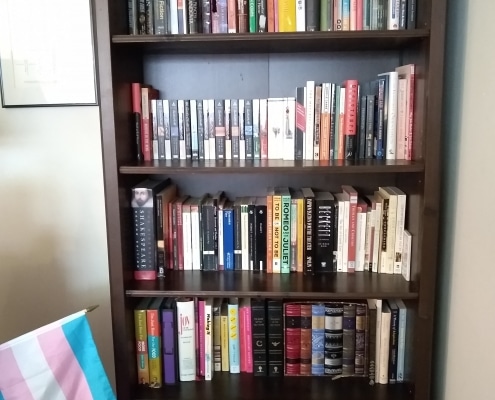 LCP Cataloger Em Ricciardi's book shelf arranged with their own "SystEm" method