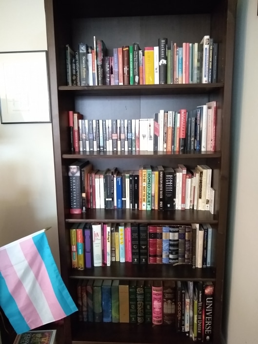 SystemFullShelf LCP Cataloger Em Ricciardi's book shelf arranged with their own "SystEm" method