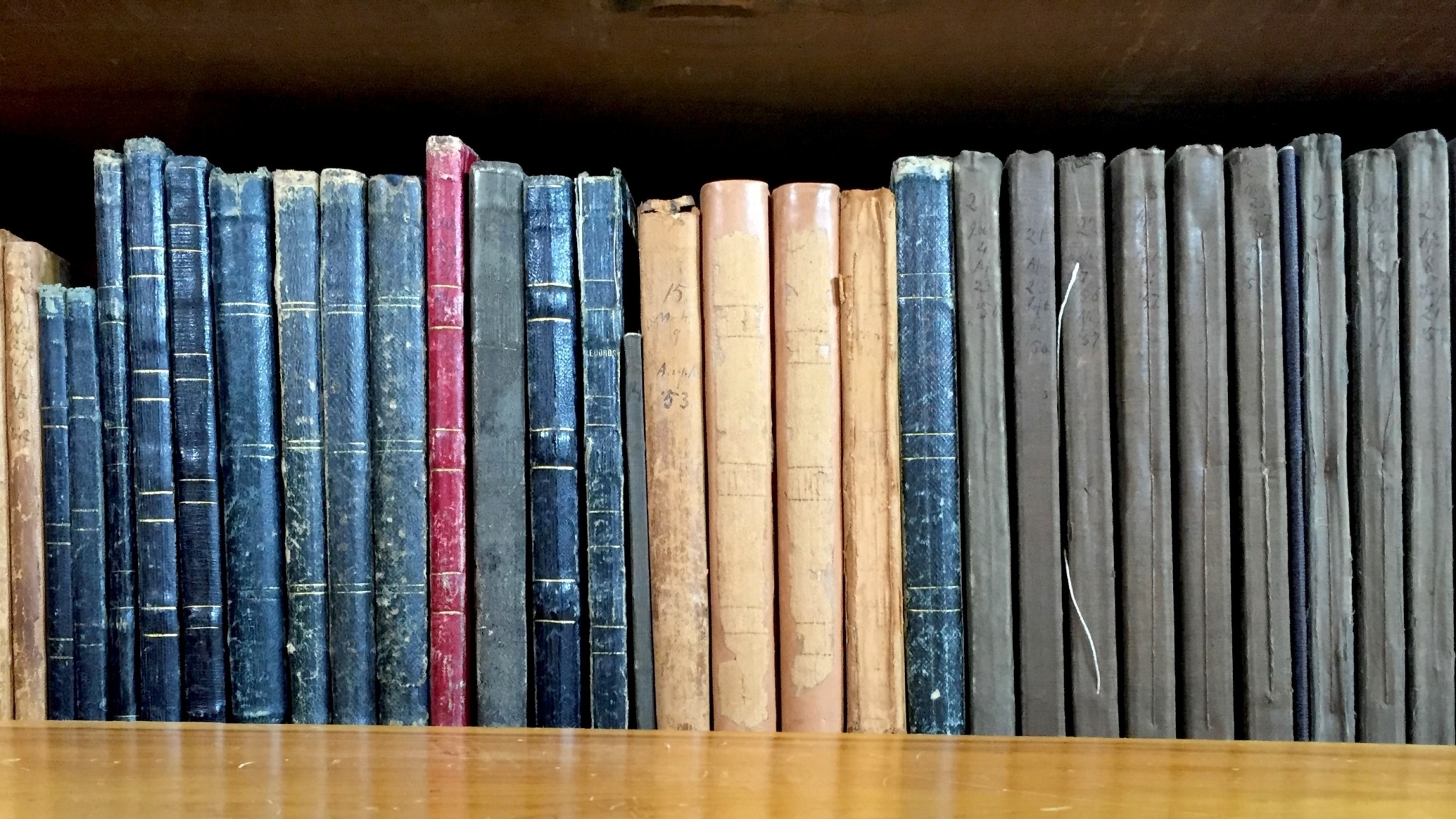 Thoreau journals lined up on a shelf