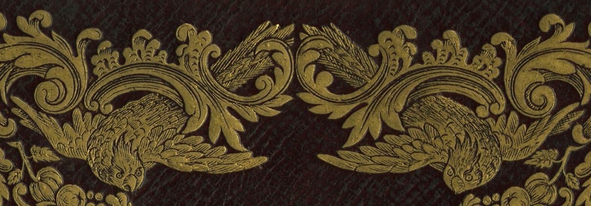 Detail of gilt birds from book cover.