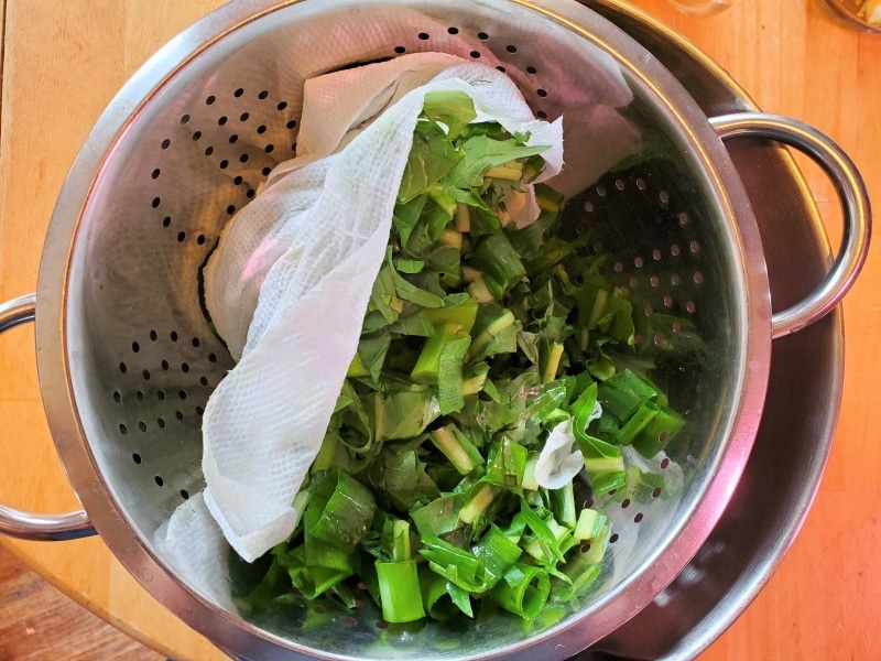 Greens, removed from water and draining in a colander