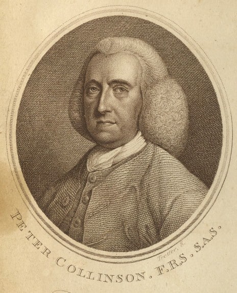 Portrait of Peter Collinson. Lettsome, John Coakley. Memoirs of John Fothergill, M.D. London: C. Dilly, 1786, p. [260].