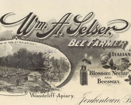 Wm. A. Selser, Bee Farmer and Breeder of Italian Bees & Queens. Blossom Nectar and Beeswax. Jenkintown, Pa. (Philadelphia: Craig, Finley & Co., ca. 1900).